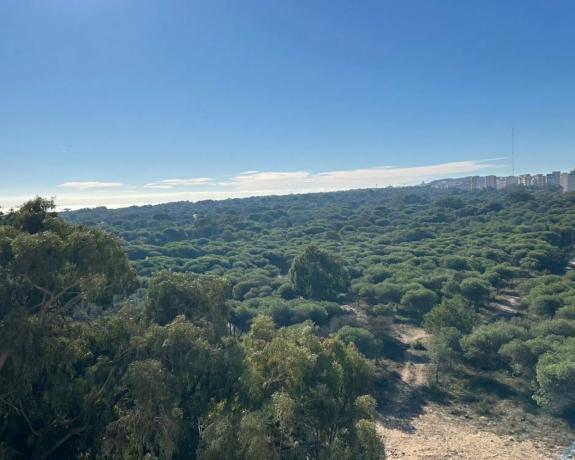 Piso en port area s/n