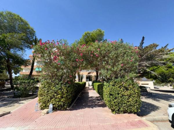 Piso en calle Lomas de Polo