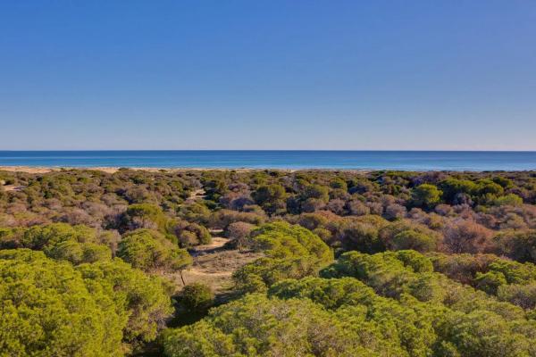 Ático en Urbanizaciones