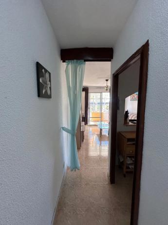 Piso en avenida de Las Palmeras