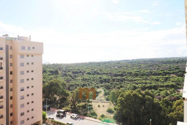 Dúplex en CL Med Basilio Paredes Gomez