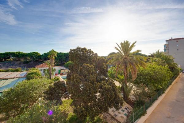 Piso en avenida de Las Palmeras