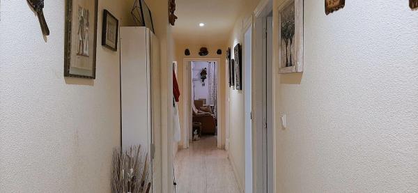 Piso en calle Dolores Viudes Blasco