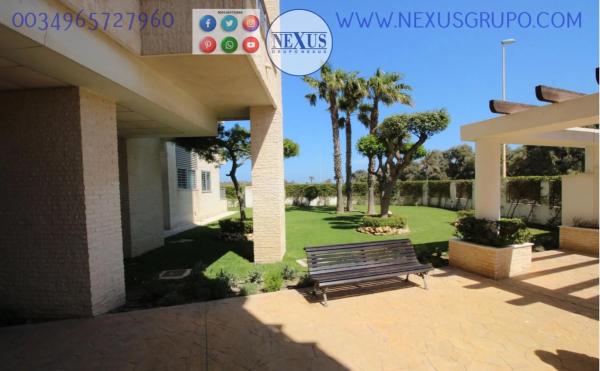 Piso en calle Basilio Paredes, 17