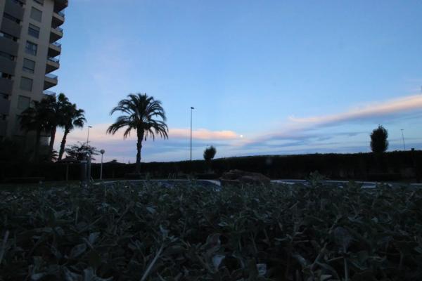 Piso en calle Basilio Paredes, 17