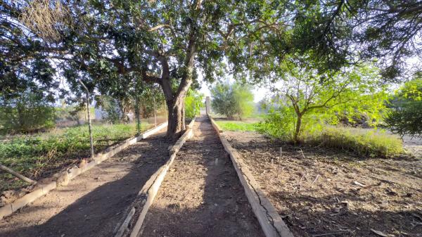 Casa independiente en Partida lo Sastre, 9 e