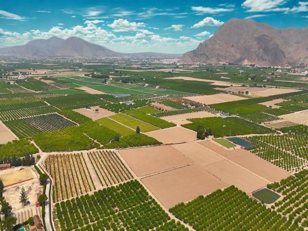 Piso en avenida Constitución, 2 b