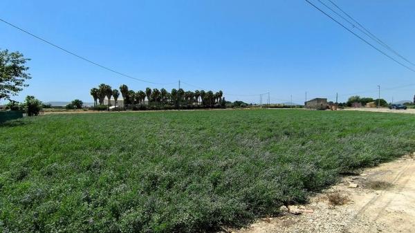 Chalet pareado en Caracter Partida Mudamiento