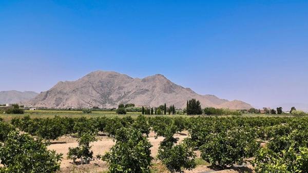 Chalet pareado en Caracter Partida Mudamiento