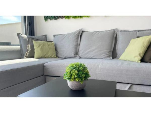 Ático en Orihuela Ciudad