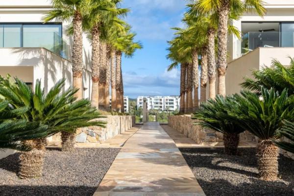 Piso en avenida de las Colinas