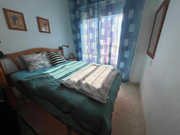 Chalet adosado en calle Pintor Botí s/n