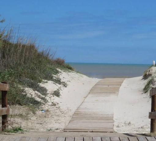 Ático en calle Pedro Sánchez