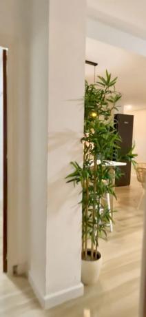 Ático en calle Pedro Sánchez