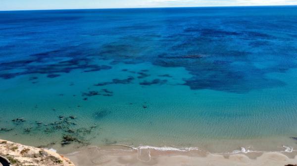 Ático en calle Palmera Canaria