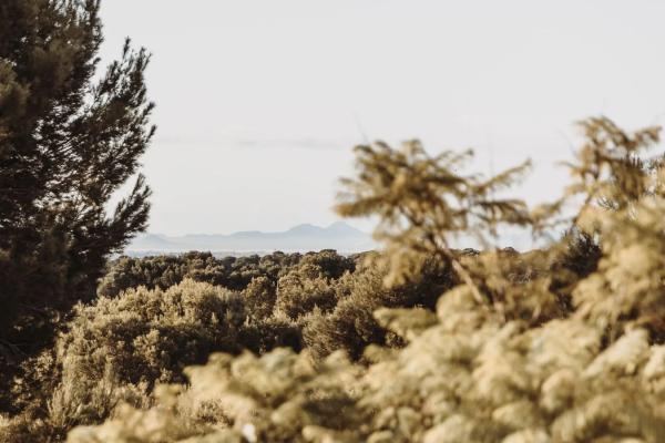 Casa independiente en calle Arce, 9