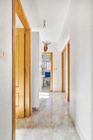 Casa independiente en CL Arce p C