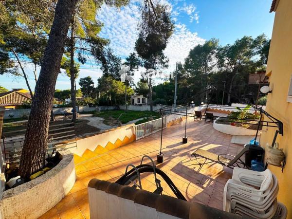 Casa independiente en calle Naranjo