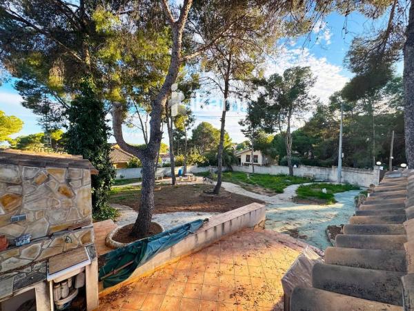 Casa independiente en calle Naranjo