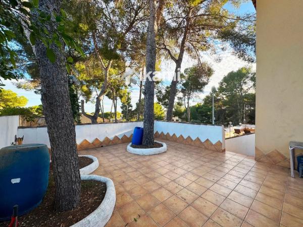 Casa independiente en calle Naranjo