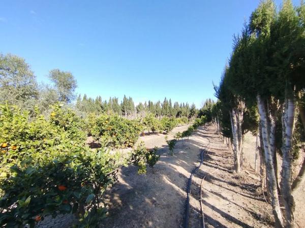 Finca rústica en vereda de los Llanos