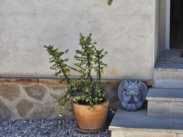 Casa independiente en calle Ruinas de Petra