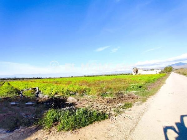Finca rústica en Vía