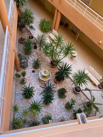 Piso en avenida Alicante, 17