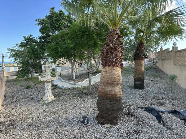 Casa independiente en calle Isla Cristina, 18