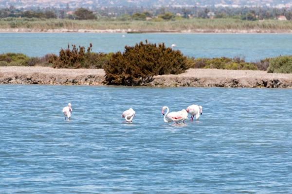 Piso en avenida del Mediterráneo, 10