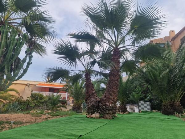 Casa independiente en calle Ciudad Real, 11