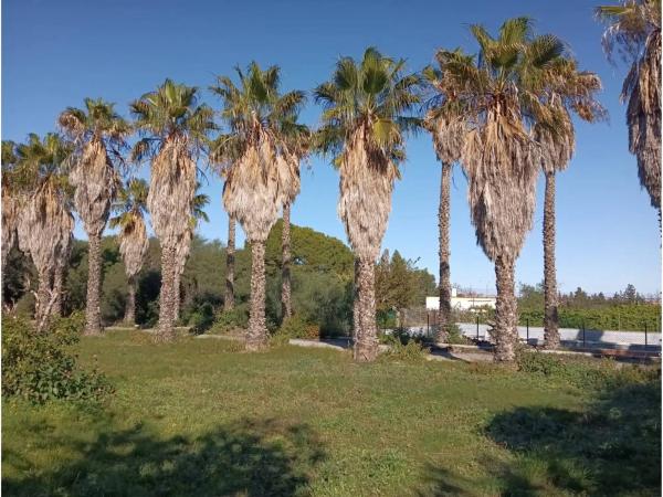 Chalet en calle Ercina