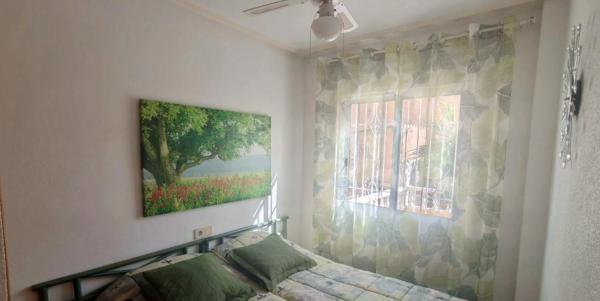 Chalet adosado en calle Laguna Rosa