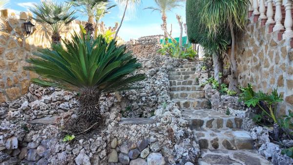 Casa independiente en Av Torrevieja Bal, 177