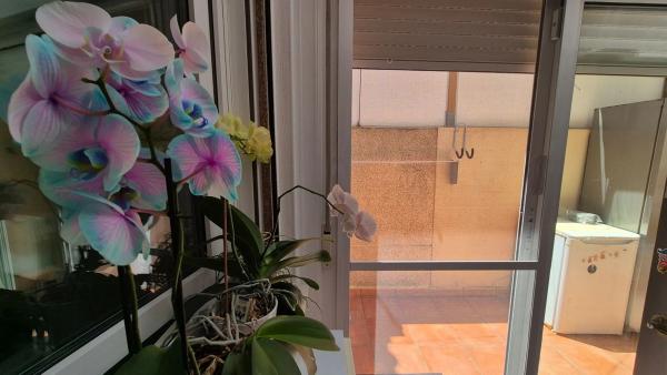 Chalet pareado en calle Talía