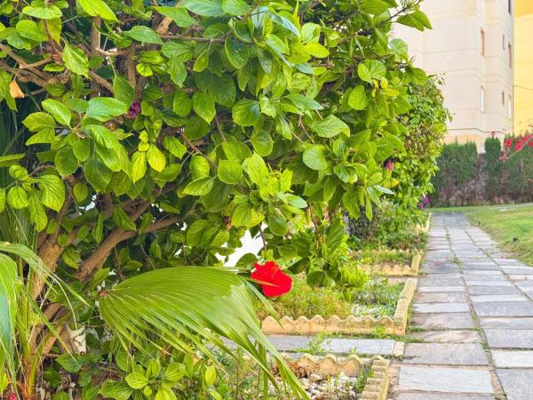 Piso en Urbanización Calas Blancas