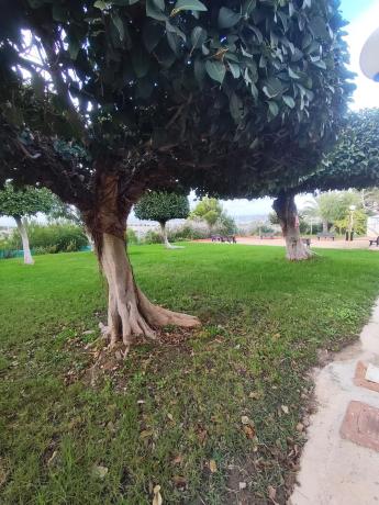 Ático en Av Corinto, 2