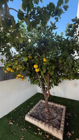 Casa independiente en avenida Tenerife