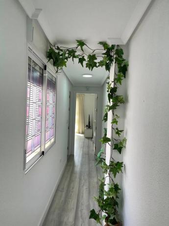 Ático en calle Goleta, 18