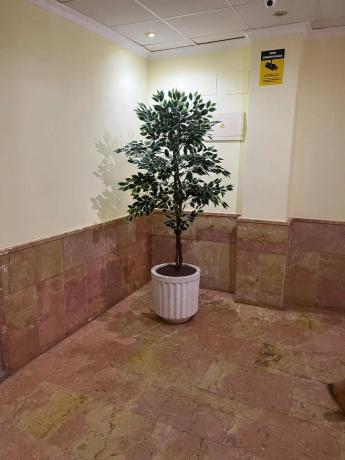 Piso en calle Bergantin