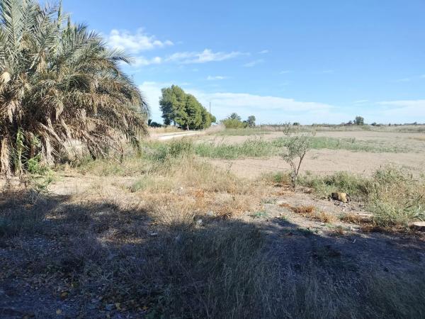 Finca rústica en pasaje Rincón de los Pablos, 18
