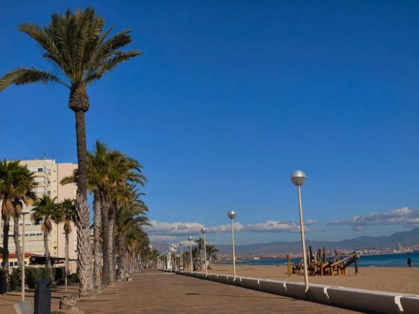 Piso en calle Músico José Mira Figueroa, 3