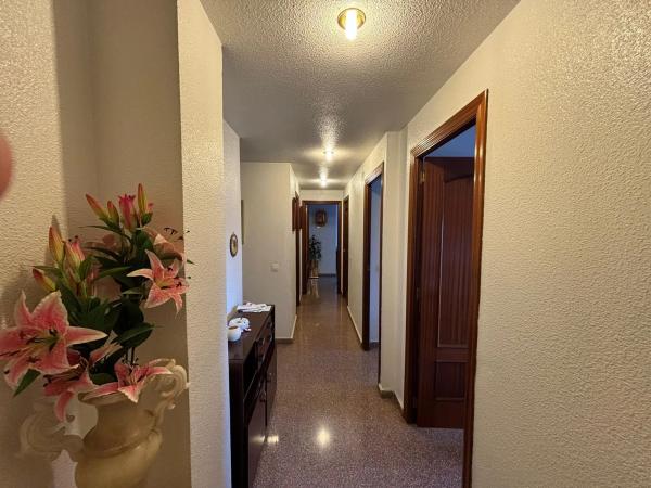 Ático en Gran Vía Conde de Casa Rojas