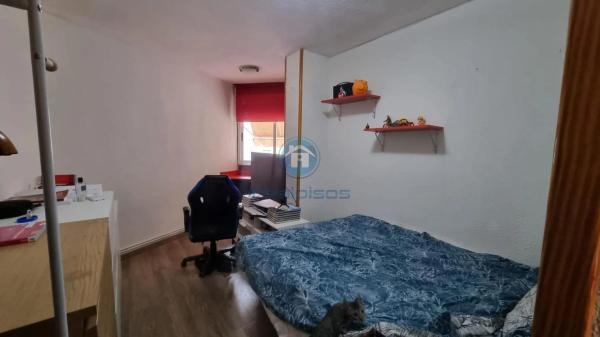 Piso en avenida Pintor Baeza