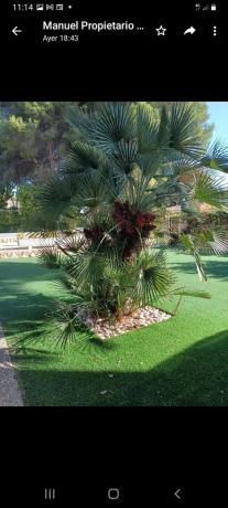 Chalet en Barrio Campoamor