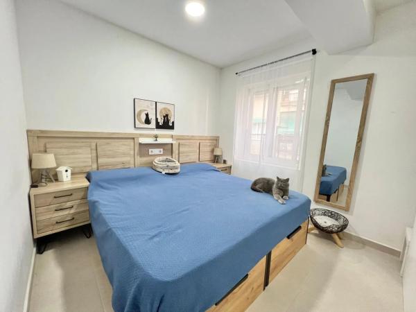 Piso en calle Alférez Díaz Sanchis