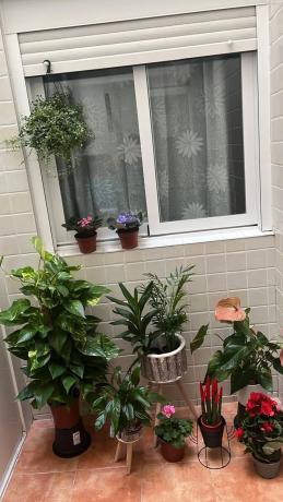 Piso en calle del Doctor Bergez