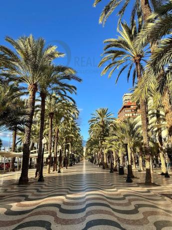 Piso en avenida Alfonso El Sabio