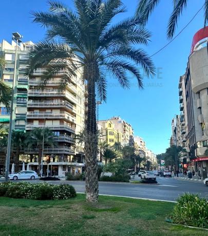 Piso en avenida Alfonso El Sabio