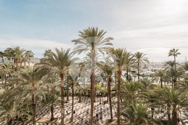 Piso en calle Ingeniero Lafarga